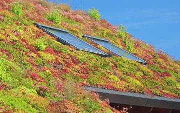 Kirby Misperton living roof systems